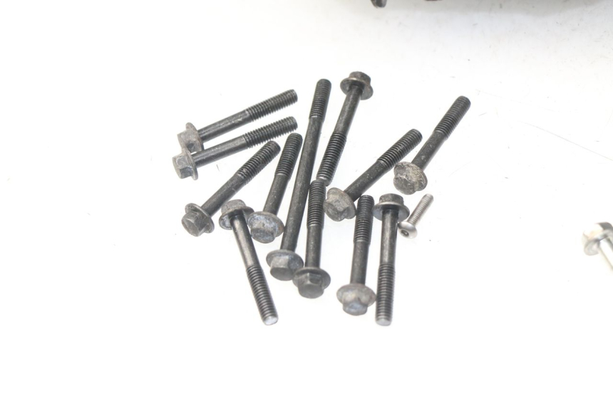 photo de CARTER MOTORE HONDA NSS EX FORZA 250 (2005 - 2013) - Focus sulla struttura