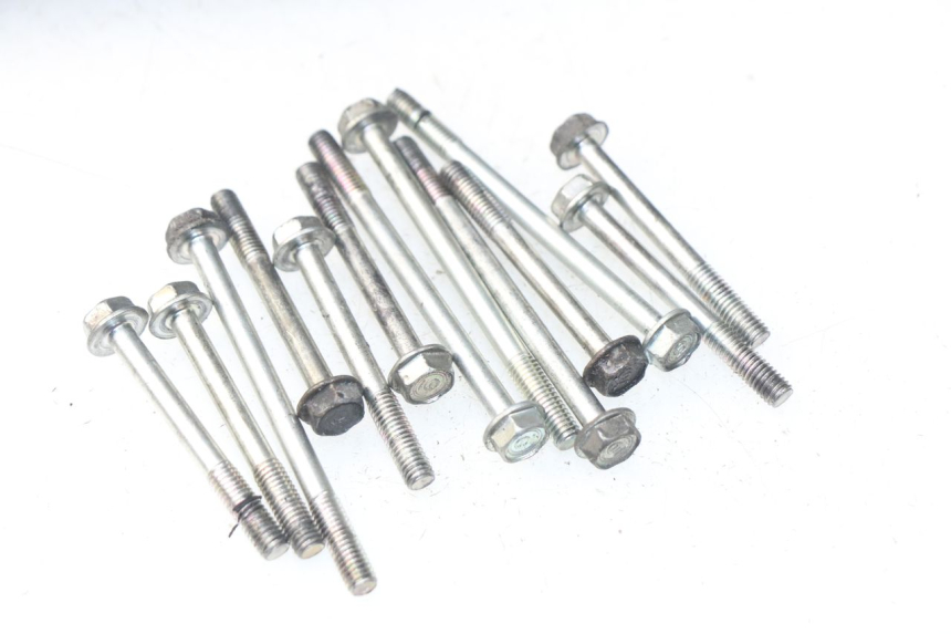 photo de CARTER MOTORE HONDA NSS EX FORZA 250 (2005 - 2013) - Angolazione alternativa