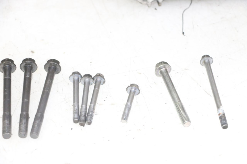 photo de CARTER MOTORE HONDA NTV DEAUVILLE ABS 700 (2007 - 2016) - Dettaglio del componente