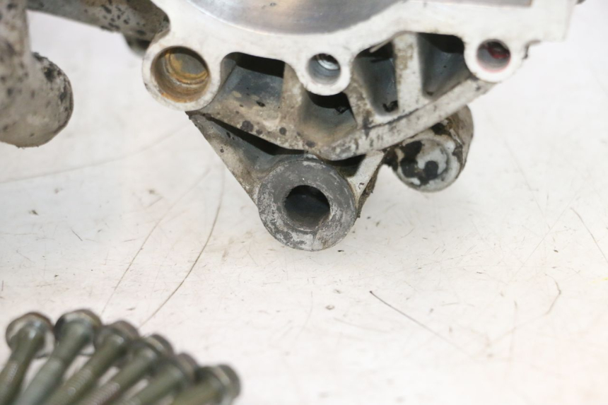 photo de CARTER MOTORE TNT MOTOR ROMA 12' 2T 50 (2007 - 2018) - Zoom sui componenti