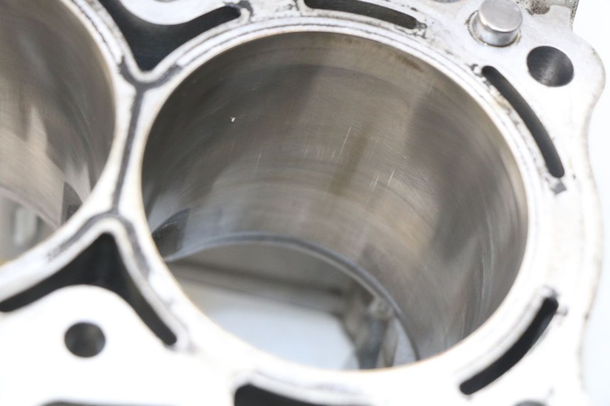 photo de CARTER MOTORE BMW S RR ABS S1000RR 1000 (2009 - 2011) - Zoom sui componenti