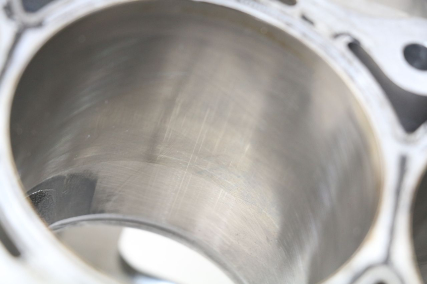 photo de CARTER MOTORE BMW S RR ABS S1000RR 1000 (2009 - 2011) - Ispezione visiva dettagliata