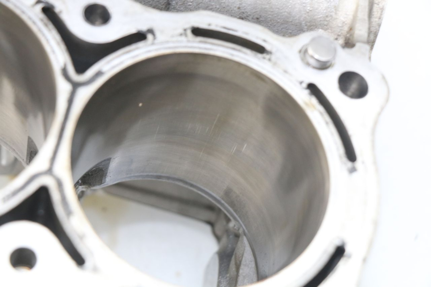 photo de CARTER MOTORE BMW S RR ABS S1000RR 1000 (2009 - 2011) - Focus sulla struttura