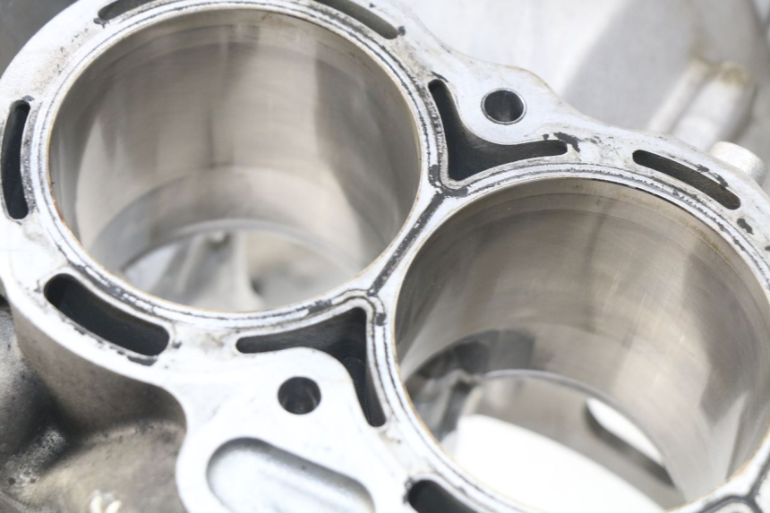 photo de CARTER MOTORE BMW S RR ABS S1000RR 1000 (2009 - 2011) - Zoom qualità usato