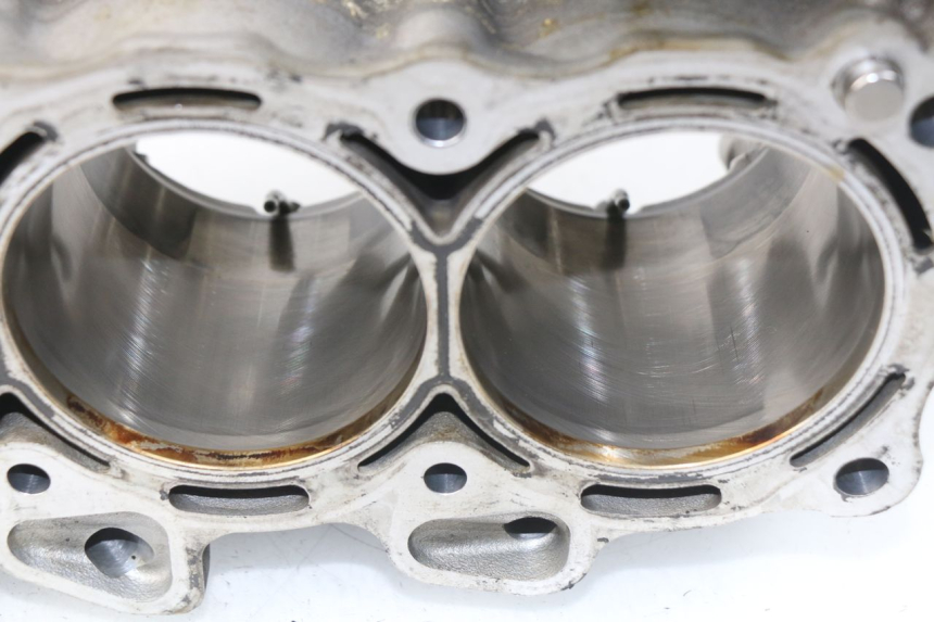 photo de CARTER MOTORE BMW S RR ABS S1000RR 1000 (2009 - 2011) - Vista principale