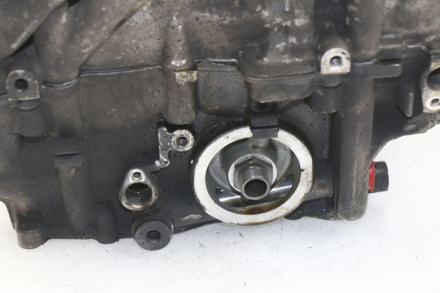 photo de CARTER MOTORE BMW S RR ABS S1000RR 1000 (2009 - 2011) - Stato della superficie e materiale