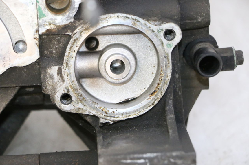 photo de CARTER MOTORE PEUGEOT SATELIS 125 (2010 - 2012) - Focus sulla struttura