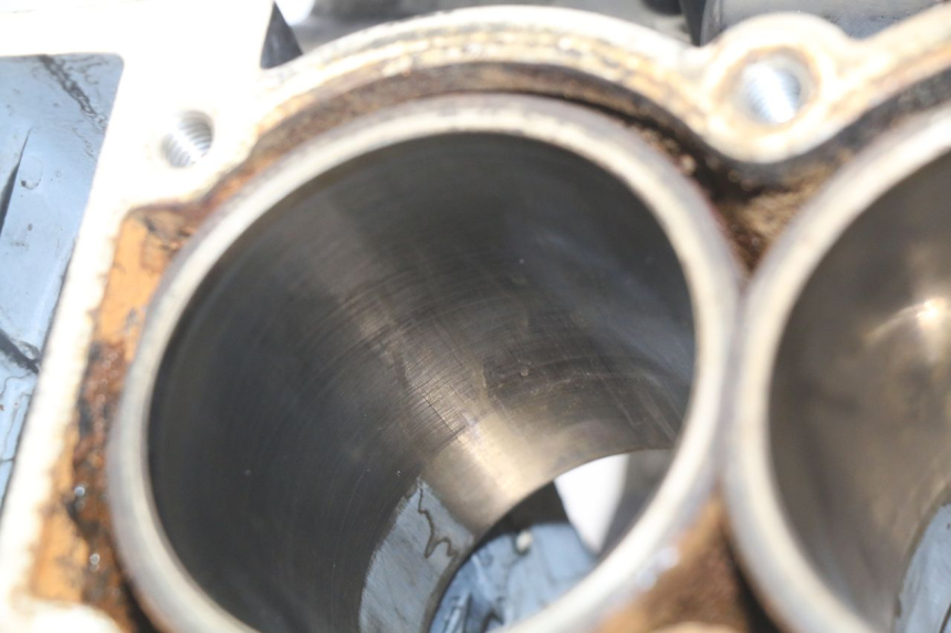 photo de CARTER BAS MOTORE TRIUMPH SPRINT ST 955 (1999 - 2001) - Foto prodotto supplementare