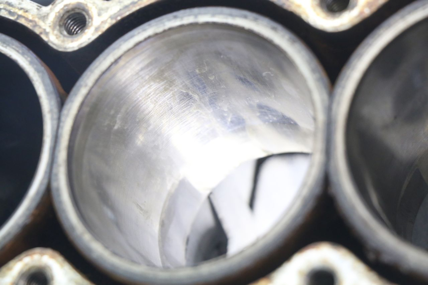 photo de CARTER BAS MOTORE TRIUMPH SPRINT ST 955 (1999 - 2001) - Focus sulla struttura