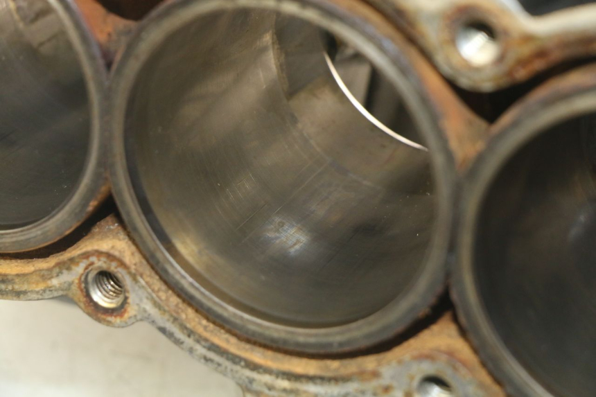 photo de CARTER BAS MOTORE TRIUMPH SPRINT ST 955 (1999 - 2001) - Zoom qualità usato