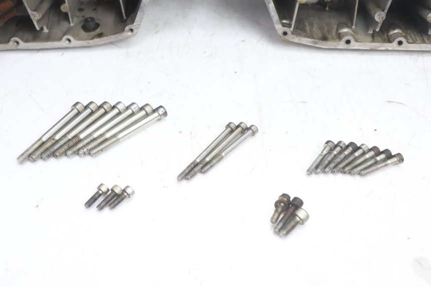 photo de CARTER MOTORE DUCATI SS IE DS CARENEE 1000 (2002 - 2006) - Stato della superficie e materiale