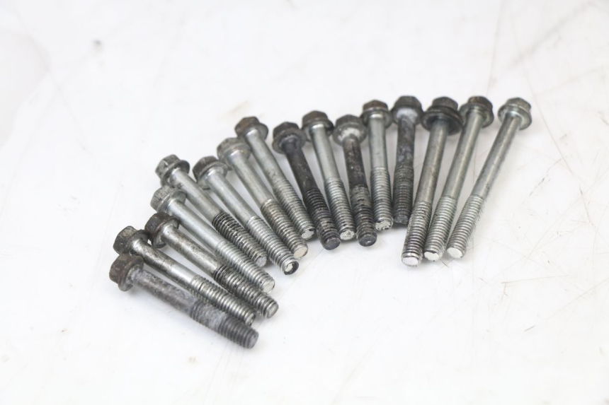 photo de CARTER MOTORE SUZUKI GSX F GSXF 650 (2007 - 2015) - Caratteristiche distintive