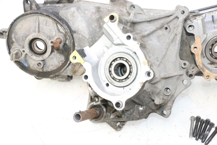 photo de CARTER MOTORE PEUGEOT TREKKER 50 (1995 - 2004) - Focus sulla struttura