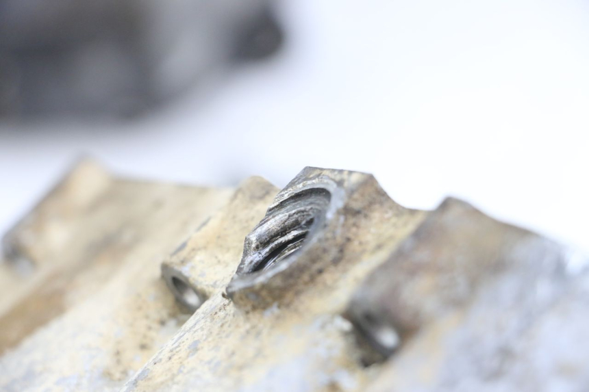 photo de CARTER BAS MOTORE HONDA TRX 300 (1988 - 2000) - Primo piano ad alta risoluzione