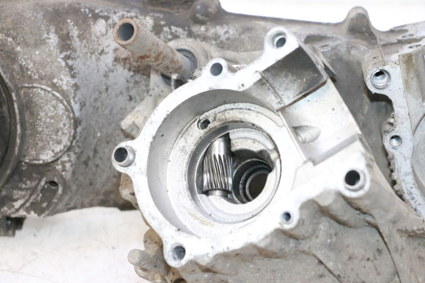 photo de CARTER MOTORE PEUGEOT VIVACITY 50 (1998 - 2003) - Ispezione visiva dettagliata