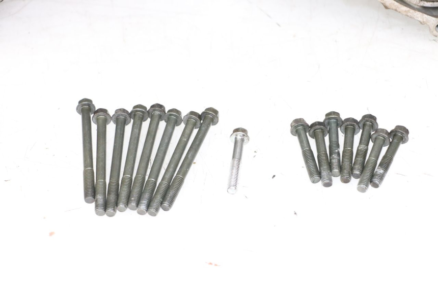 photo de CARTER MOTORE SUZUKI VL INTRUDER 125 (2004 - 2007) - Primo piano ad alta risoluzione