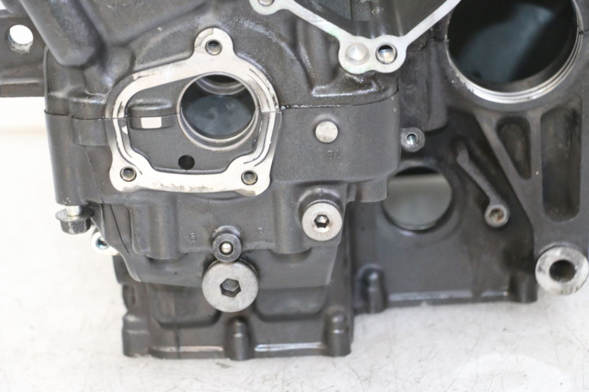 photo de CARTER MOTORE YAMAHA FZ1 FAZER 1000 (2007 - 2009) - Caratteristiche distintive