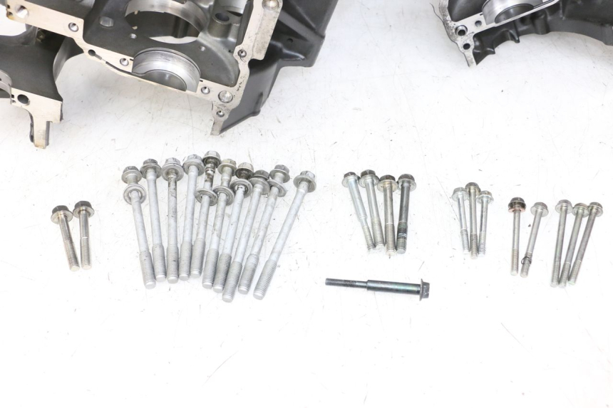 photo de CARTER MOTORE YAMAHA FZ1 FAZER 1000 (2007 - 2009) - Vista d'insieme del prodotto