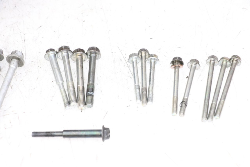 photo de CARTER MOTORE YAMAHA FZ1 FAZER 1000 (2007 - 2009) - Dettagli dei punti di fissaggio