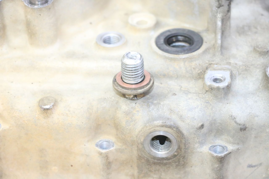 photo de CARTER MOTORE YAMAHA YFM R RAPTOR 250 (2008 - 2014) - Foto prodotto supplementare