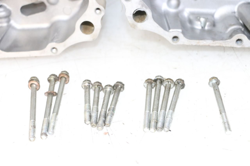 photo de CARTER MOTORE YAMAHA YFM R RAPTOR 250 (2008 - 2014) - Ispezione visiva dettagliata