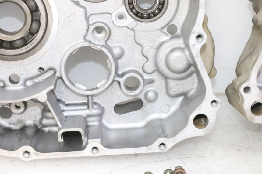 photo de CARTER MOTORE YAMAHA YFM R RAPTOR 250 (2008 - 2014) - Panoramica del profilo