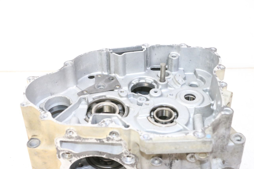 photo de CARTER MOTORE YAMAHA YFM R RAPTOR 250 (2008 - 2014) - Primo piano tecnico