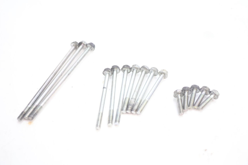 photo de MOTORE HONDA PCX (JF28) 125 (2009 - 2011) - Stato della superficie e materiale