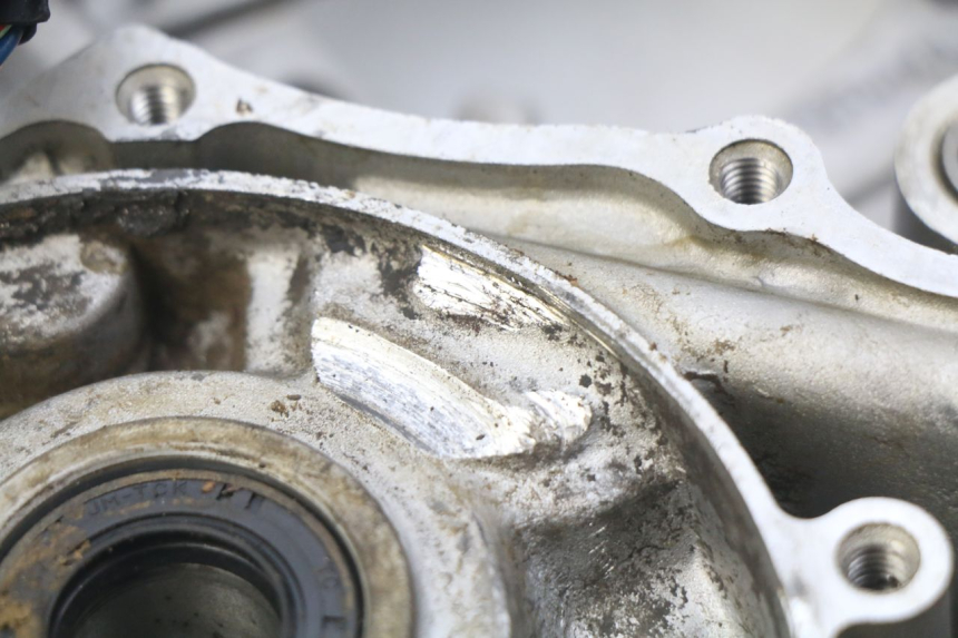 photo de CARTER MOTORE SINISTRO XTRM FACTORY DIRTBIKE BSE 150 - Altra angolazione