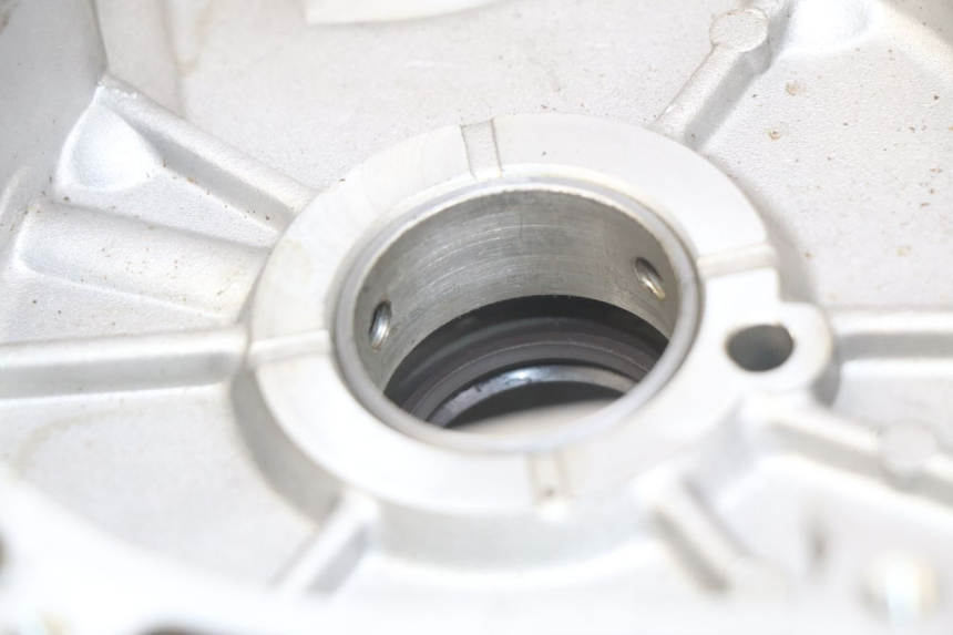 photo de CARTER MOTORE SINISTRO APRILIA SCARABEO LIGHT 125 (2007 - 2011) - Zoom sullo stato d'uso