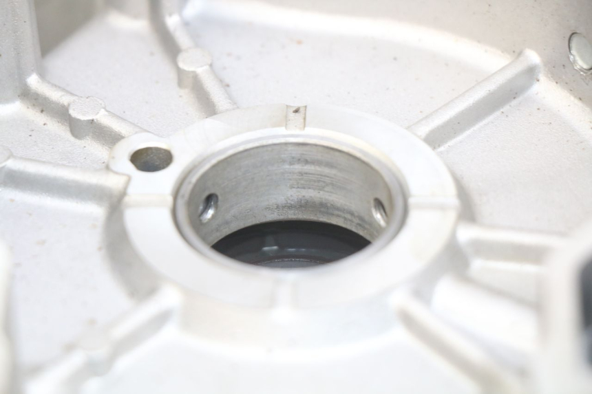 photo de CARTER MOTORE SINISTRO APRILIA SCARABEO LIGHT 125 (2007 - 2011) - Altra angolazione