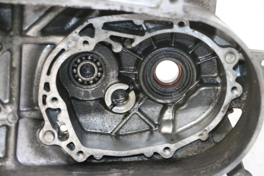 photo de CARTER MOTORE PEUGEOT VIVACITY NEW 2T 50 (2008 - 2017) - Primo piano ad alta risoluzione