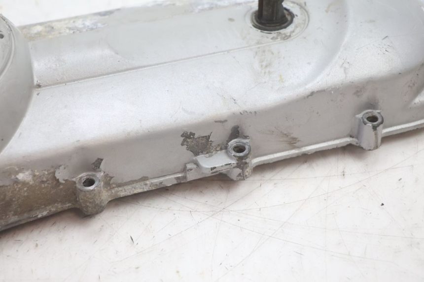 photo de CARTER TRASMISSIONE PIAGGIO LIBERTY 50 (1998 - 2003) - Caratteristiche distintive