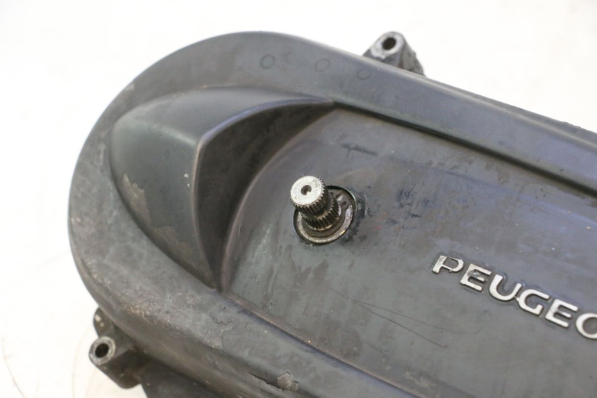 photo de CARTER TRASMISSIONE PEUGEOT LUDIX SNAKE 2T 50 (2004 - 2014) - Zoom sui componenti