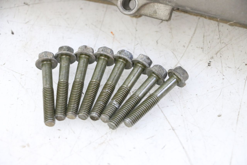 photo de CARTER VARIATORE PGO RODOSHOW 2T 50 (2003 - 2007) - Stato della superficie e materiale