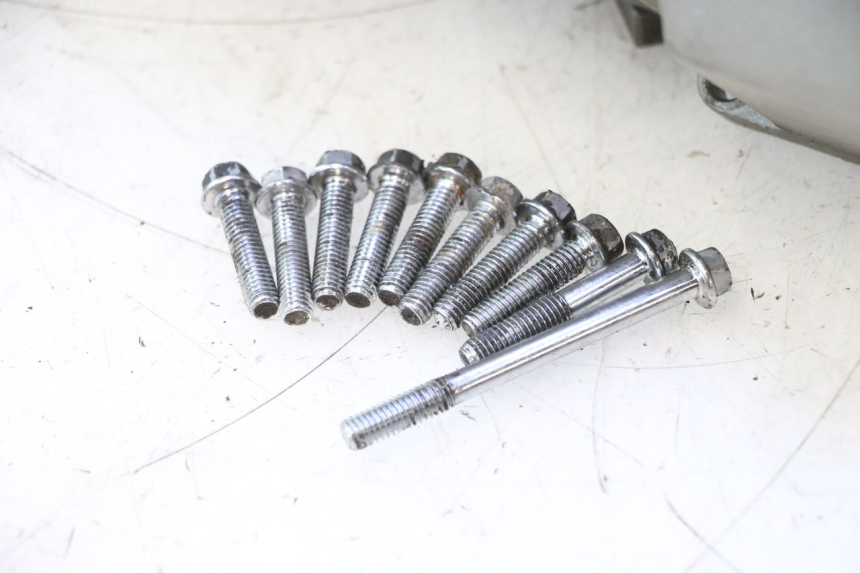 photo de COPERCHIO VARIATORE KEEWAY RY6 2T 50 (2011 - 2019) - Altra vista dell'articolo