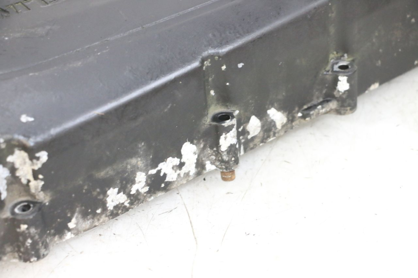 photo de CARTER TRASMISSIONE DAELIM S1 125 (2007 - 2016) - Vista d'insieme del prodotto