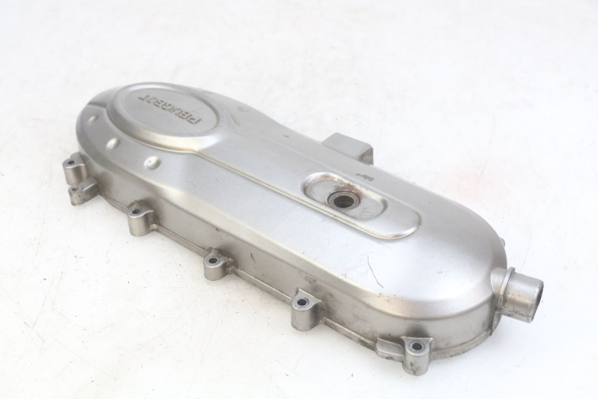 photo de COPERCHIO VARIATORE PEUGEOT TWEET 4T 50 (2010 - 2014) - Vista d'insieme del prodotto
