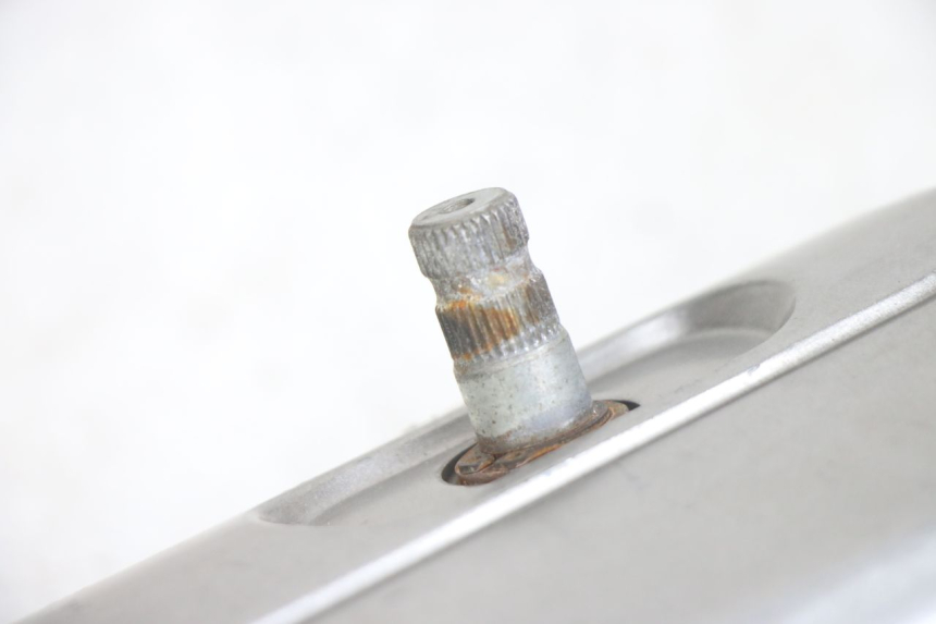 photo de COPERCHIO VARIATORE PEUGEOT TWEET 4T 50 (2014 - 2019) - Vista d'insieme del prodotto