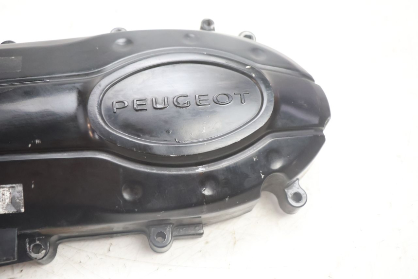 photo de COPERCHIO VARIATORE PEUGEOT TWEET 4T 50 (2018 - 2022) - Vista d'insieme del prodotto