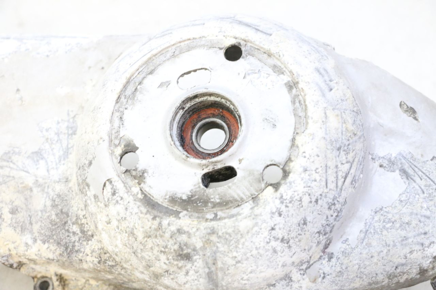 photo de COPERCHIO VARIATORE PIAGGIO X9 EVOLUTION 125 (2003 - 2007) - Focus sulla struttura