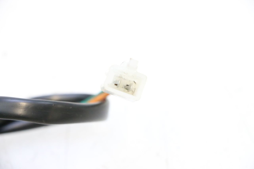 photo de FRECCE SINISTRO ANTERIORE EFUN PUSA 1 - Primo piano tecnico
