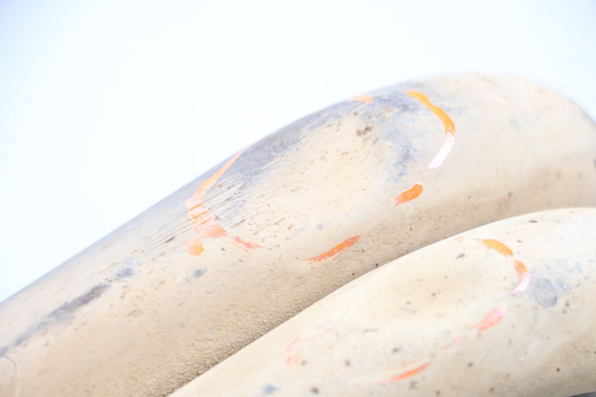 photo de COLLETTORI YAMAHA FJR ABS 1300 (2006 - 2012) - Dettaglio del componente