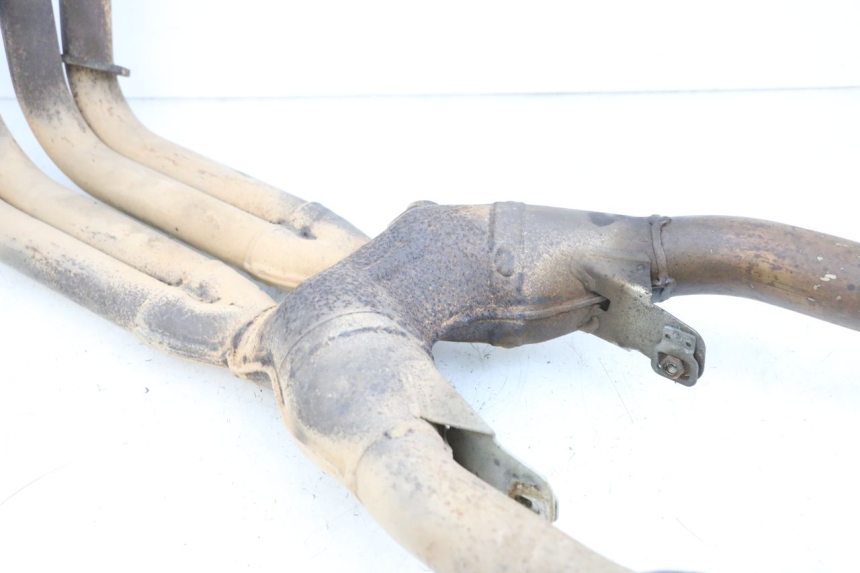 photo de COLLETTORI YAMAHA FJR ABS 1300 (2006 - 2012) - Caratteristiche distintive