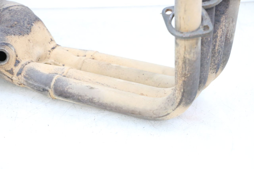 photo de COLLETTORI YAMAHA FJR ABS 1300 (2006 - 2012) - Vista principale