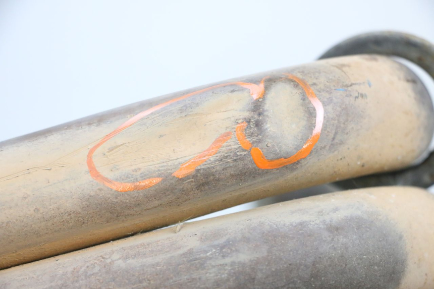 photo de COLLETTORI YAMAHA FJR ABS 1300 (2006 - 2012) - Zoom sullo stato d'uso