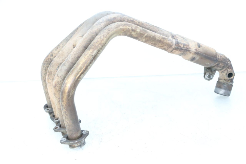 photo de COLLETTORE YAMAHA FZ6 FAZER S2 600 (2007 - 2011) - Vista principale