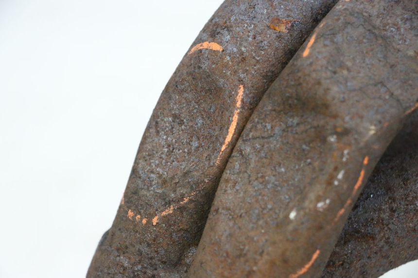 photo de COLLETTORE KAWASAKI GPZ RX 1000 (1986 - 1988) - Caratteristiche distintive