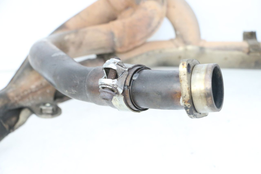 photo de COLLETTORE SUZUKI SV S 650 (2003 - 2009) - Caratteristiche distintive