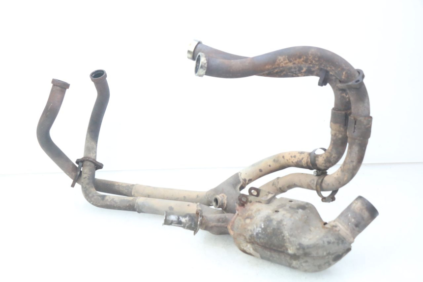 photo de COLLETTORE HONDA VFR FI RC46 800 (1998 - 2001) - Focus sulla struttura